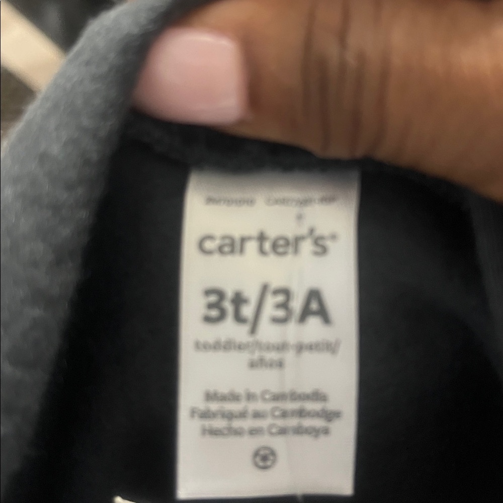 Carter’s Boys 2 piece outfit Hoodie with Moose Design and Gray Pants Set Size 3T - Picture 5 of 5